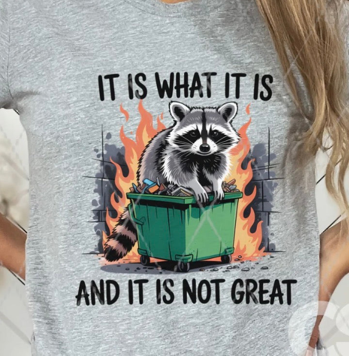 It Is What It Is - MTO Shirt