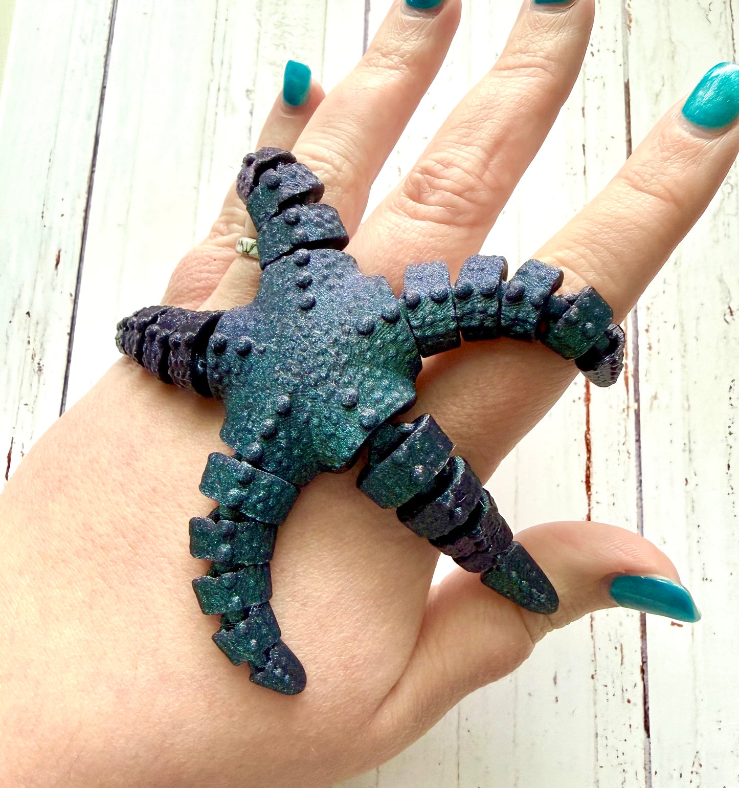 Articulated Ocean Star