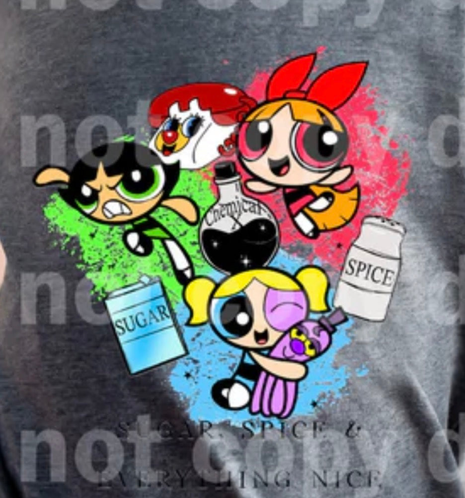 Sugar, Spice - MTO Shirt
